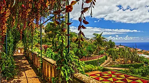 Botanischer Garten in Funchal © Travel Faery - stock.adobe.com