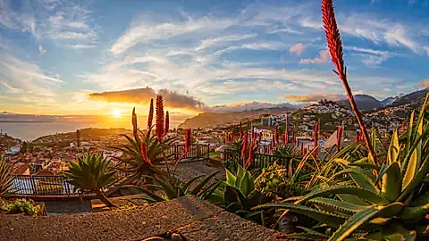 Sonnenuntergang in Funchal © papics - stock.adobe.com