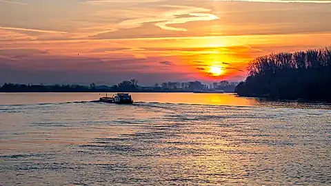 Winterstimmung über dem Rhein
©Folker_Gratz@web.de
