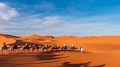 Karawane in den Dünen der Sahara © majonit - stock.adobe.com
