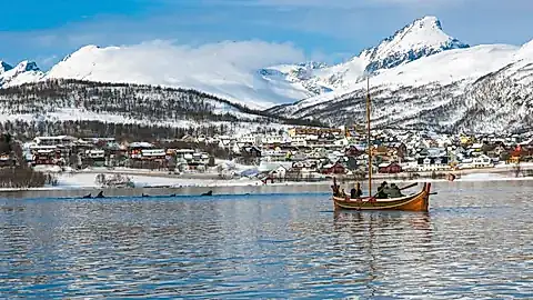 Wale in der Bucht vor Tromsø ©  belov3097 - stock.adobe.com